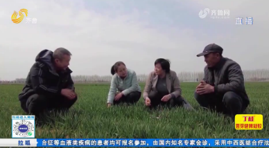 朱瑞華：扎根泥土的科技“追光者”