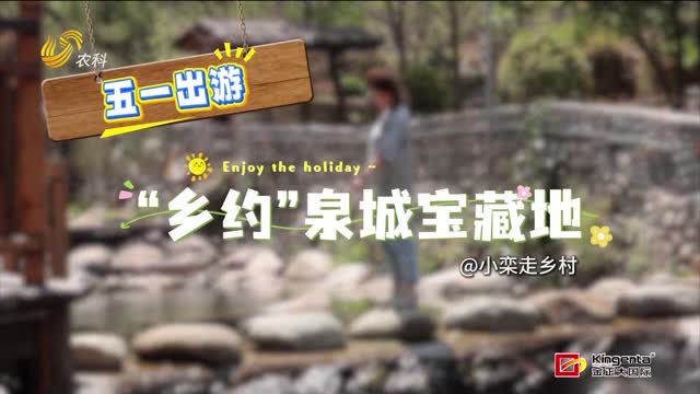 【小欒走鄉(xiāng)村 “鄉(xiāng)約”泉城寶藏地】來(lái)南部山區(qū)住民宿 做“北方江南”畫中人