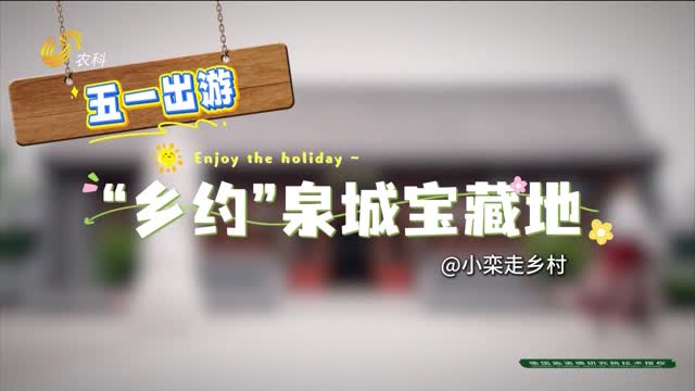 【小栾走乡村 “乡约”泉城宝藏地】孟庄铺村：一站式畅玩 解锁全家人的理想假期