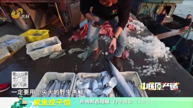 20250503《中国原产递》：鲅鱼饺子馅