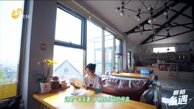 【意茹·乡遇】泰山脚下 旅客的家