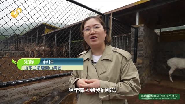 【鲁畜优品·青春的模样】宋静：呦呦鹿鸣伴青春