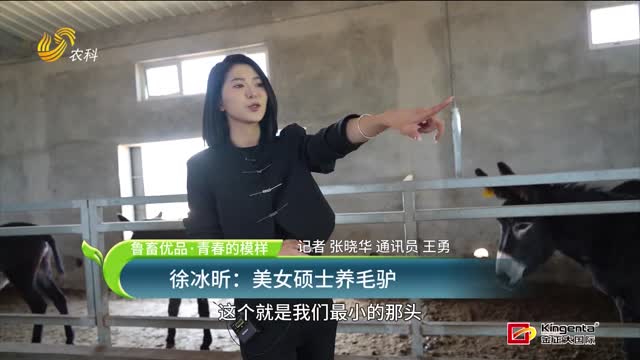 【鲁畜优品·青春的模样】徐冰昕：美女硕士养毛驴