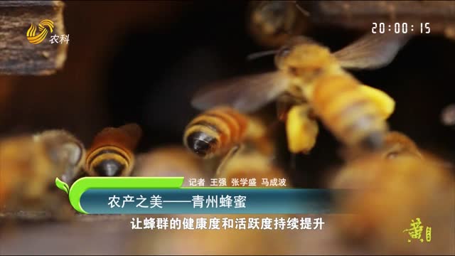 【农产之美】青州蜂蜜