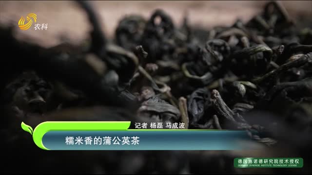 糯米香的蒲公英茶