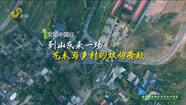 【文化中国行】到山东来一场艺术与乡村的双向奔赴