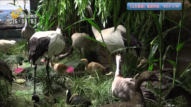 2025年05月06日《山东旅游》完整版