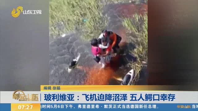 玻利维亚：飞机迫降沼泽 五人鳄口幸存