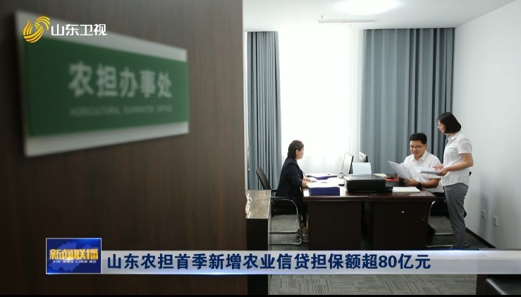 山东农担首季新增农业信贷担保额超80亿元