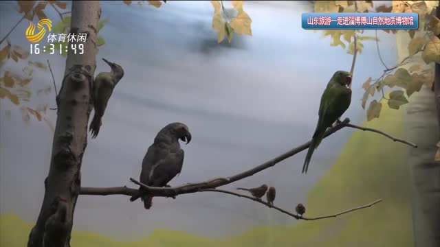 2025年05月09日《山东旅游》完整版
