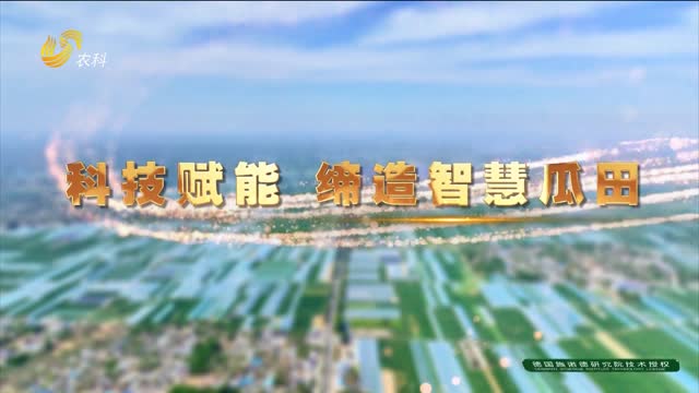 耕耘三十載 鑄就“中國(guó)西瓜第一鎮(zhèn)”——第十三屆冀魯豫·莘縣（董杜莊）西瓜節(jié)宣傳片