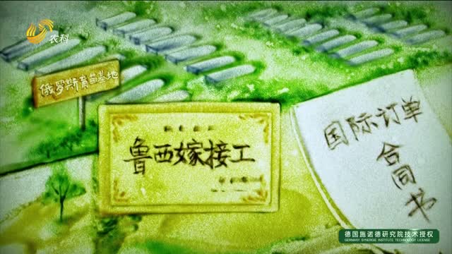 魯西嫁接工：繡出董杜莊甜蜜事業(yè)