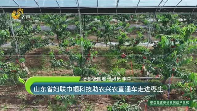 山東省婦聯(lián)巾幗科技助農(nóng)興農(nóng)直通車走進(jìn)棗莊