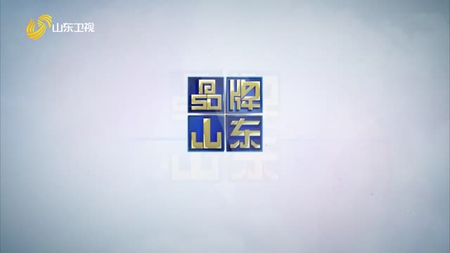2025年05月11日《品牌山东》完整版