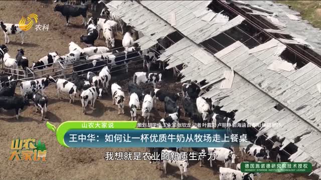【山农大家说】王中华：如何让一杯优质牛奶从牧场走上餐桌
