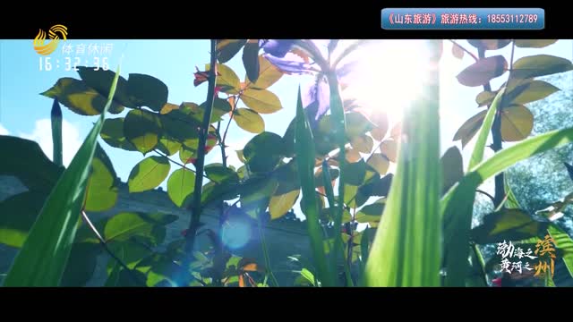 2025年05月12日《山东旅游》完整版