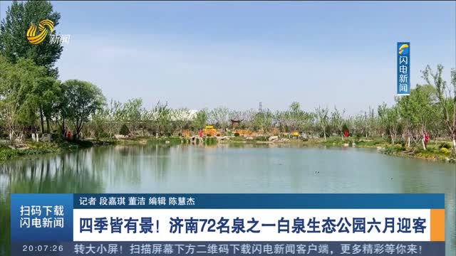 四季皆有景！济南72名泉之一白泉生态公园六月迎客