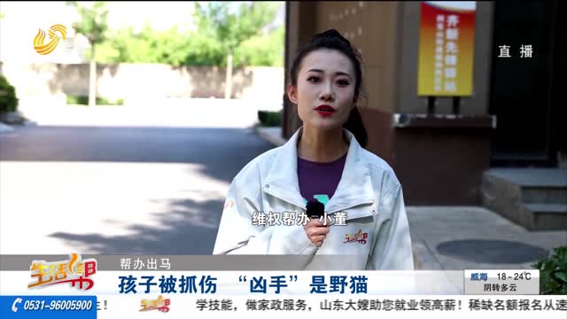 【帮办出马】孩子被抓伤 “凶手”是野猫