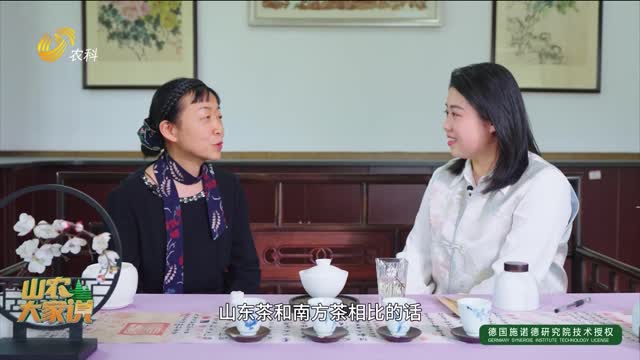 【山农大家说】如何选购到真正的山东茶
