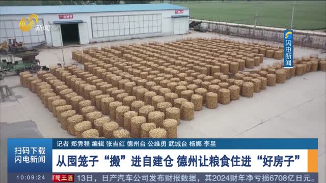 从囤笼子“搬”进自建仓 德州让粮食住进“好房子”
