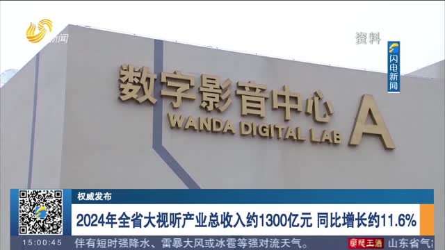 【权威发布】2024年全省大视听产业总收入约1300亿元 同比增长约11.6%