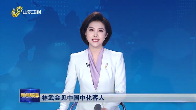 林武会见中国中化客人
