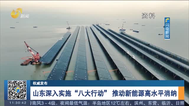 【权威发布】山东深入实施“八大行动” 推动新能源高水平消纳