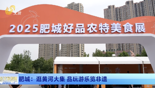 肥城：逛黄河大集 品玩游乐览非遗