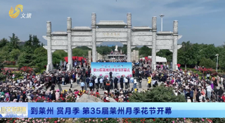 畅游齐鲁 乐GO山东丨到莱州 赏月季 第35届莱州月季花节开幕