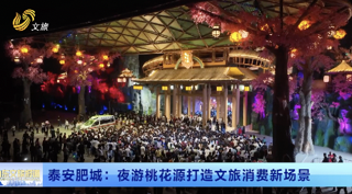 畅游齐鲁 乐GO山东丨 肥城：夜游“桃花源“打造文旅消费新场景
