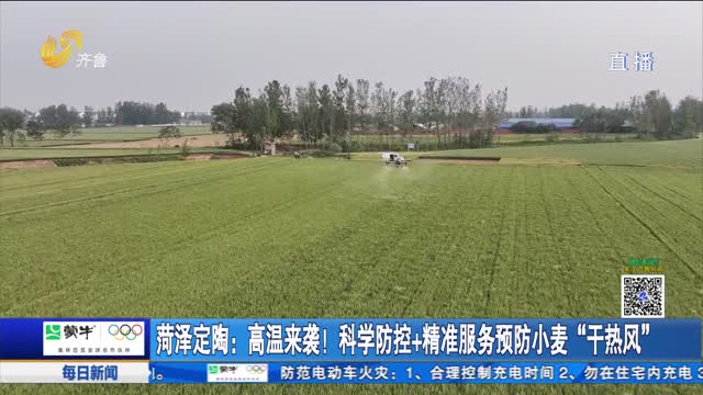 菏泽定陶：高温来袭！科学防控+精准服务预防小麦“干热风”