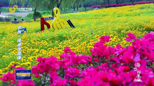 海岱四季：山水画卷 生态之美