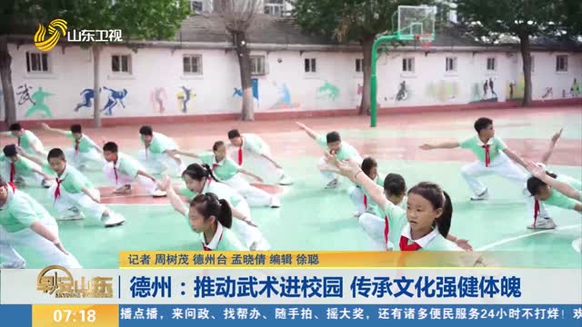 德州：推动武术进校园 传承文化强健体魄