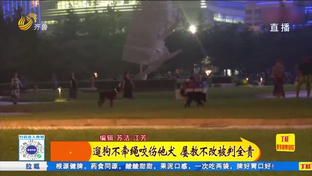 遛狗不牵绳咬伤他犬 谁之责？