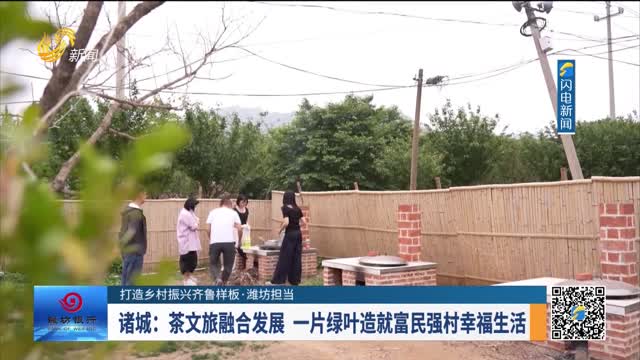 【打造乡村振兴齐鲁样板·潍坊担当】诸城：茶文旅融合发展 一片绿叶造就富民强村幸福生活