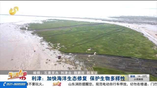 利津：加快海洋生态修复 保护生物多样性