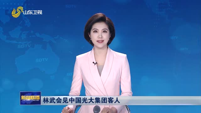 林武会见中国光大集团客人