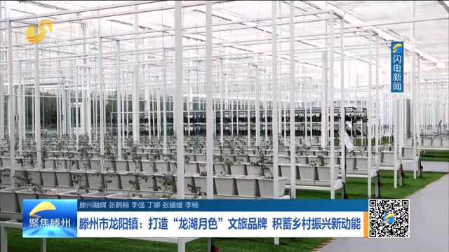 滕州市龙阳镇：打造“龙湖月色”文旅品牌 积蓄乡村振兴新动能