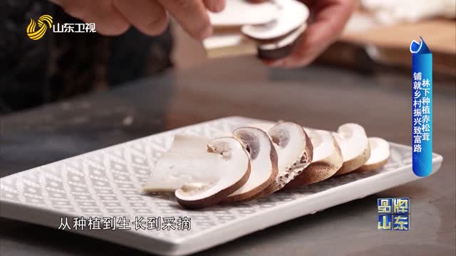 【品牌新势力】林下种植赤松茸 铺就乡村振兴致富路
