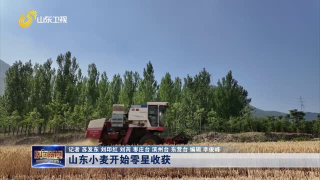 山东小麦开始零星收获