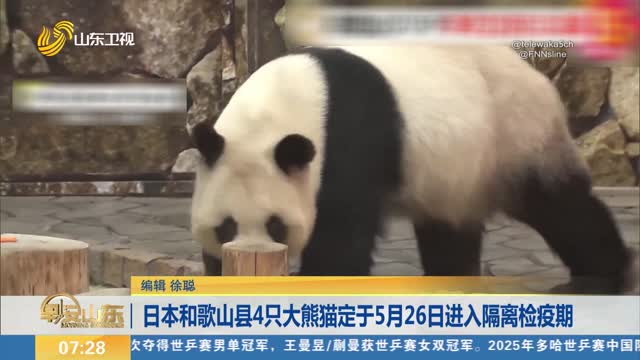 日本和歌山县4只大熊猫定于5月26日进入隔离检疫期