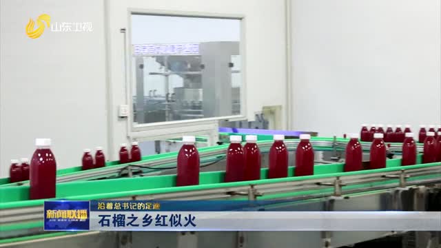 石榴之乡红似火【沿着总书记的足迹】