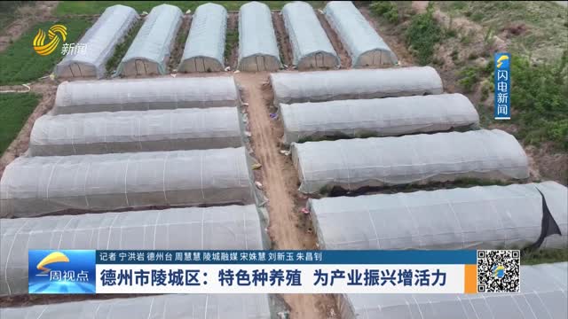德州市陵城区：特色种养殖 为产业振兴增活力
