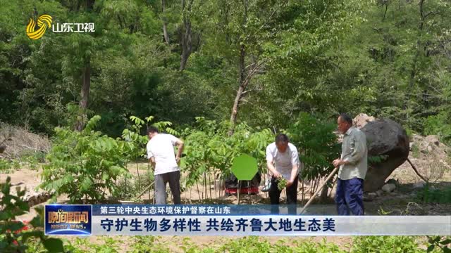 【第三轮中央生态环境保护督察在山东】守护生物多样性 共绘齐鲁大地生态美