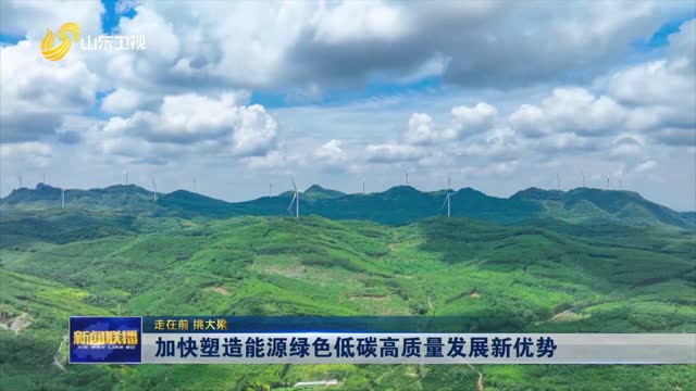 加快塑造能源绿色低碳高质量发展新优势【走在前 挑大梁】