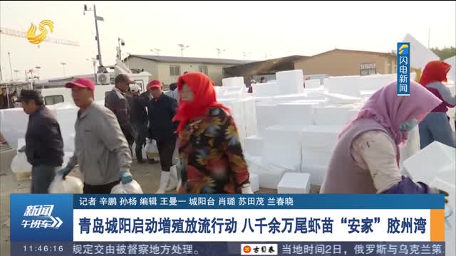 青岛城阳启动增殖放流行动 八千余万尾虾苗“安家”胶州湾