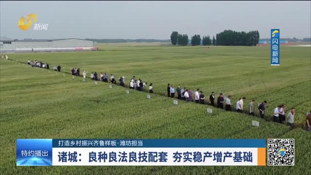 【打造乡村振兴齐鲁样板·潍坊担当】诸城：良种良法良技配套 夯实稳产增产基础