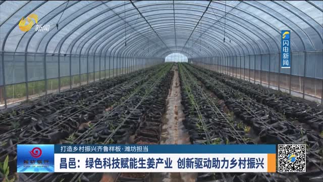【打造乡村振兴齐鲁样板·潍坊担当】昌邑：绿色科技赋能生姜产业 创新驱动助力乡村振兴