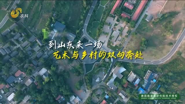 【文化中國行】到山東來一場藝術(shù)與鄉(xiāng)村的雙向奔赴