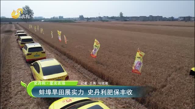 【史丹利·星光農(nóng)場】蚌埠旱田展實力 史丹利肥保豐收